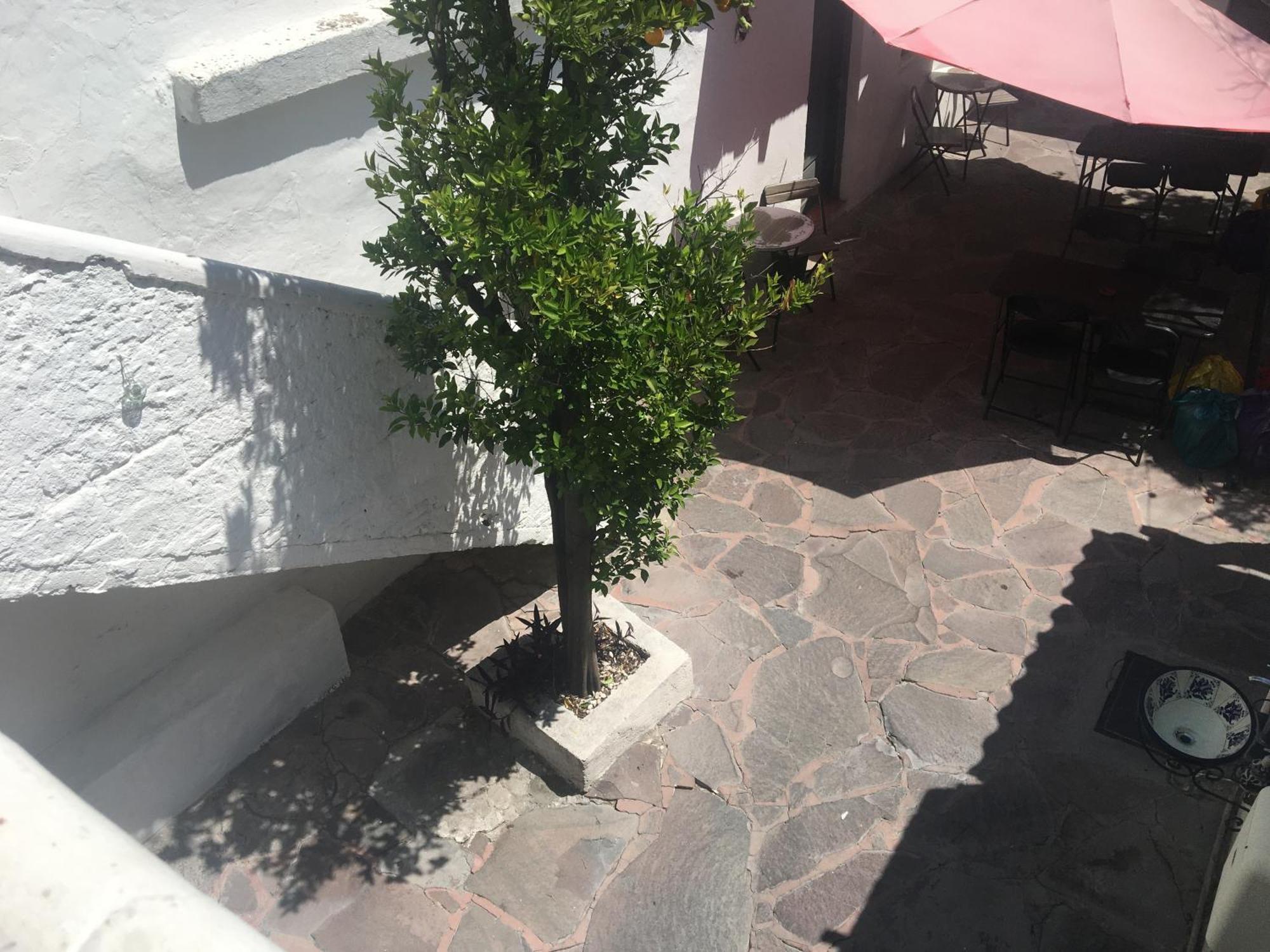 Patio Alojamiento San Miguel de Allende Zewnętrze zdjęcie
